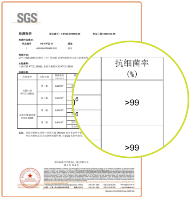 兔寶寶超芯板